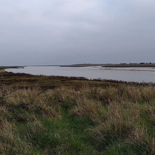 Littoral Transmissions #65 - Benfleet to Leigh-On-Sea With Andrew Ciccone - 26 March 2025