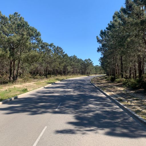 Mothership Connection: Pete BBE // 15-04-21