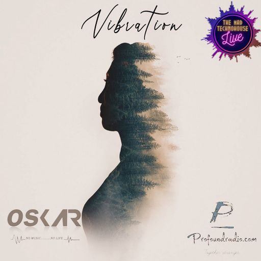 VIBRATION