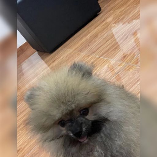 DJ'YE【Enzx Private Mix】《ДЕТИ RAVE - УРЫЛ 0$ X Lil Nas X - Industry Baby X Justin Bieber - Ghost》Mix