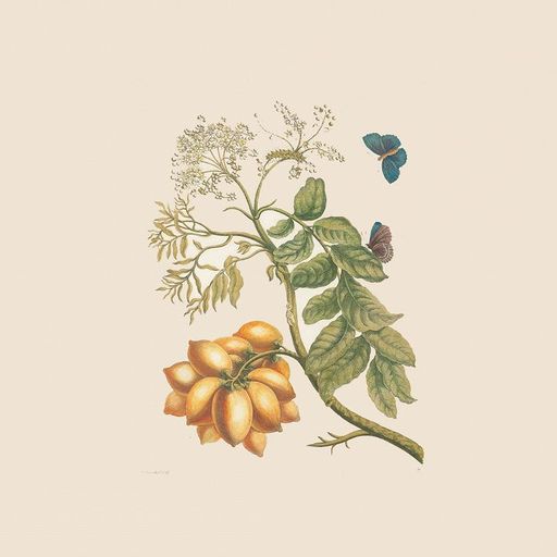 Perfect Sound Forever - 26th March 2025