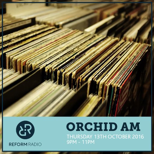 Orchid AM 13th October 2016