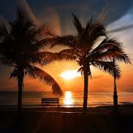 LWF313 & LizzyJ Number 26 17.11.24 - Soul, Funk, Soulful House and a bit o Reggae at the End!