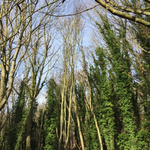 Be More Well - 25/02/23