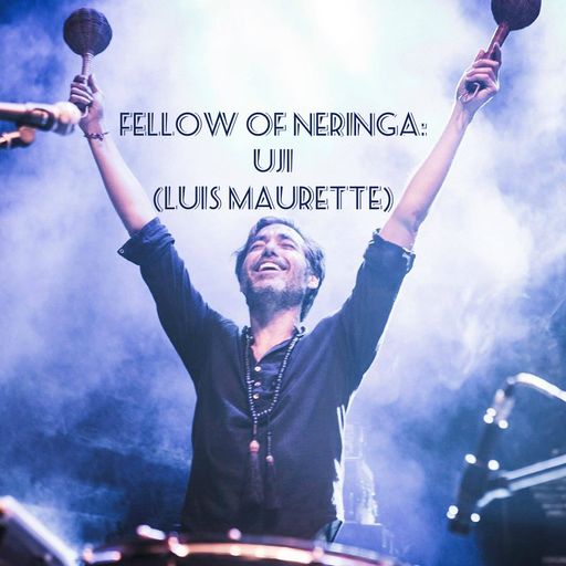 Fellow of Neringa - UJI (Luis Maurette) 2016.11.30