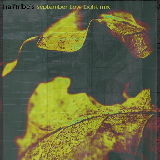 halftribe September Ambient Mix