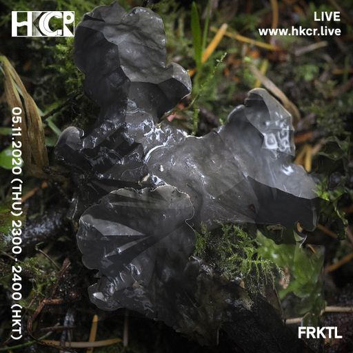 FRKTL - 05/11/2020