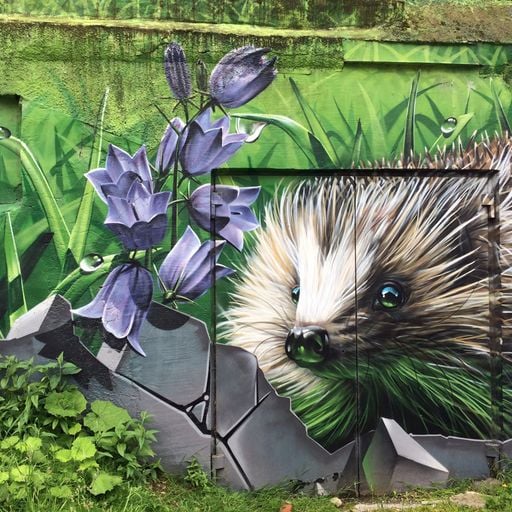 DJ Hedgehog - OnlyOldSkoolRadio.com - It's not clever  - Friday 31st January 2020