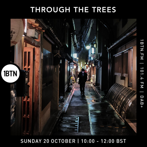 Ty : Through The Trees - 03.11.24