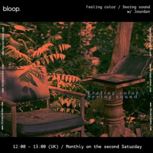 Feeling color / Seeing sound w/ Jourdan - 13.05.23