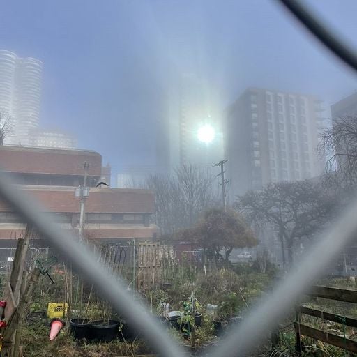 Pender Street Steppers - 3rd March 2026