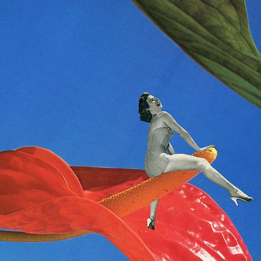 Mo'Jazz 175: Latin Grooves