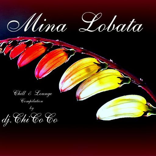 "" MINA LOBATA "" chill & lounge compilation