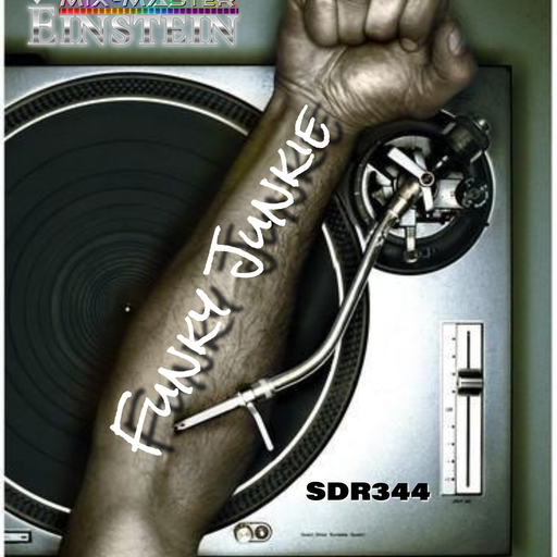 SDR344: Funky Junkie