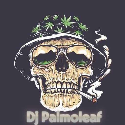 Dj Palmoleaf - Schranzformation 30. Mar 2026
