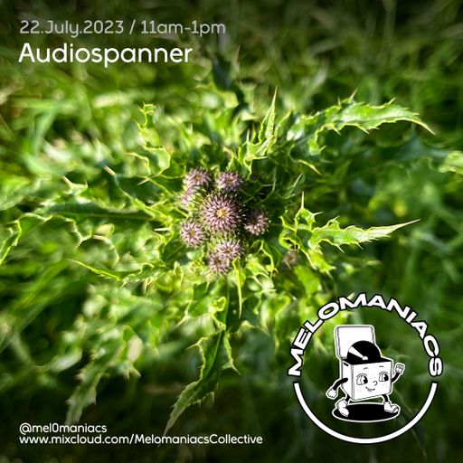 Audiospanner's All over the place // 23.July.23 // Melomaniacs