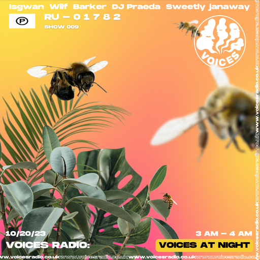 01782 w/ Ru - Voices Radio - Voices Radio - 20.10.23