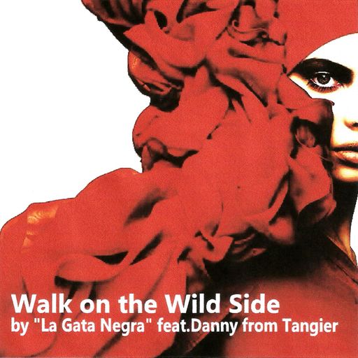 "Walk On The Wild Side" by La Gata Negra feat.Danny from Tangier (ChillBluesRockDubCrazyShit)