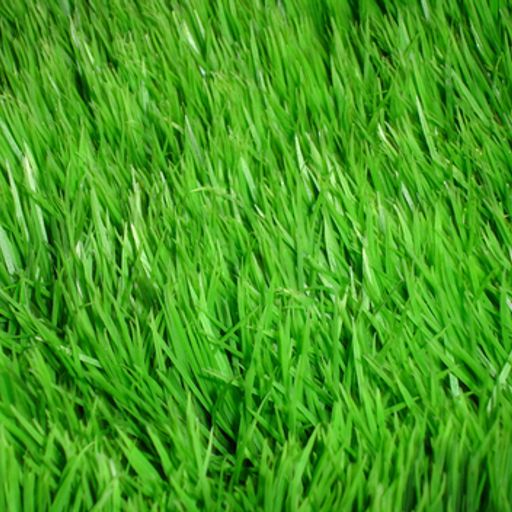 Gardening Slot - August
