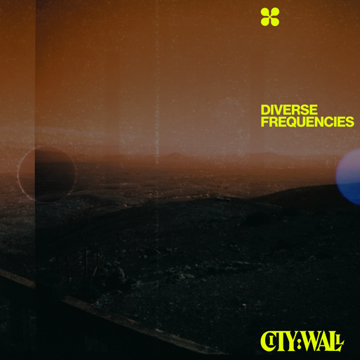 Diverse Frequencies w/ Joel Magill - August 2023