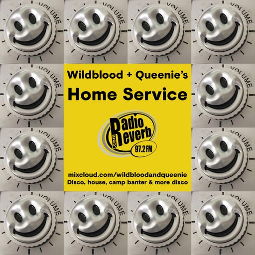 Wildblood & Queenie's Home Service : The Sybil-not -that-Sybil one