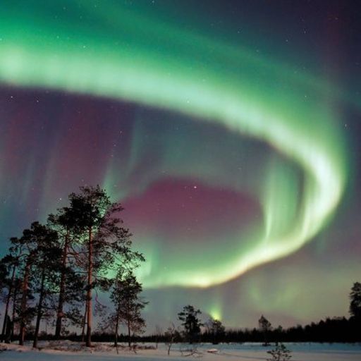 Northern Lights