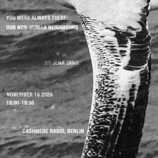 Cashmere Guest Mixes w/ Jena Jang 15.11.2025