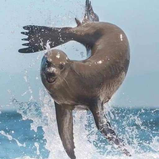 Steve Lewis wednesday house session 7th August 2024