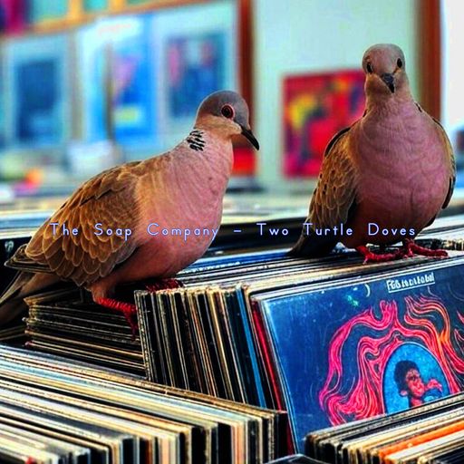 The Soap Company - Two Turtle Doves