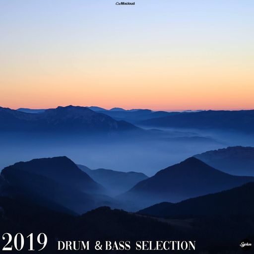 2019 Drum & Bass Selection
