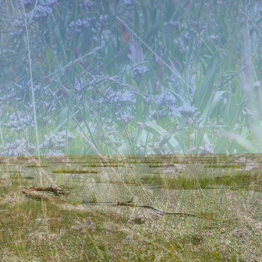 walkplacedistancetime #6 - An Orford Replication - 6th August 2022