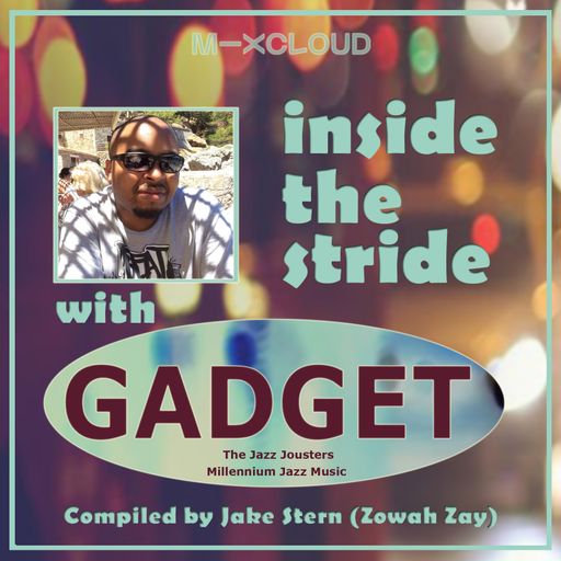 Inside the Stride with Gadget