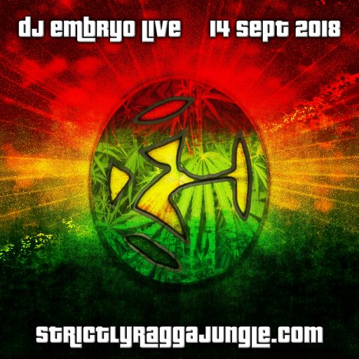 DJ Embryo - Strictly Ragga Jungle Radio Live 4-1