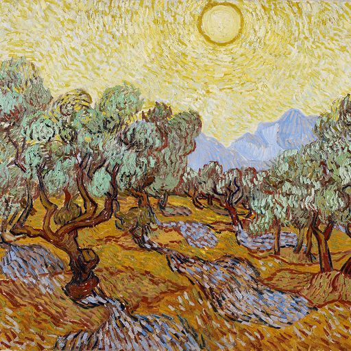 Winter Light / Summer Heat #102 Turtles Have Short Legs