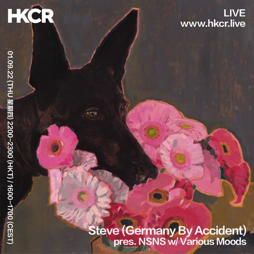 Steve Germany By Accident pres NSNS with Various Moods - 01/09/2022