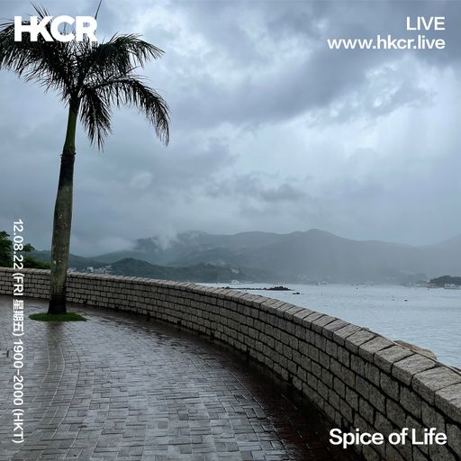 Spice Of Life - 12/08/2022