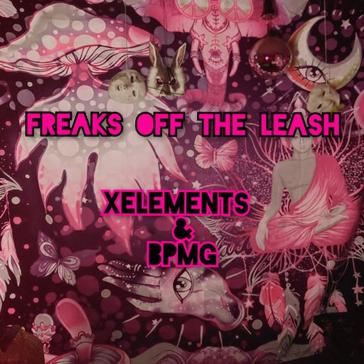 Freaks off the leash - Xelements & BPMG. (04/08/23)