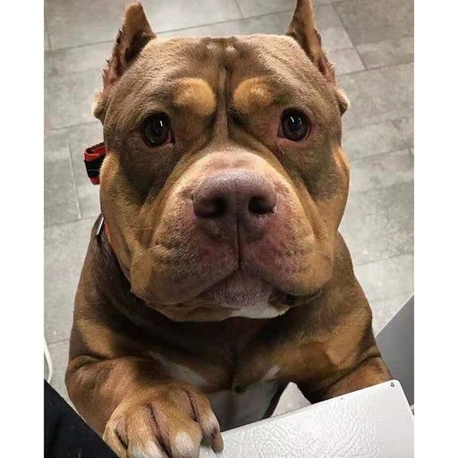 DJ'YE《Astronaut In The Ocean x 戴羽彤 - 花海 x 劉心 - 愛你是我最初的夢想》Rmx 2x21 Private MixTape Just For Yakult