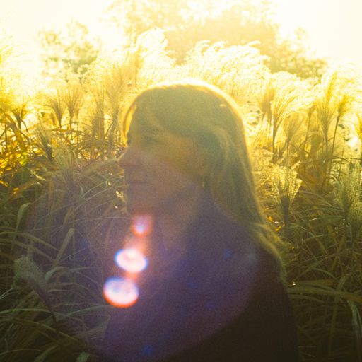 "Scenes": T.G. Shand on Breakfast - 08/07/2024