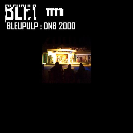 bleupulp - dnb 2000