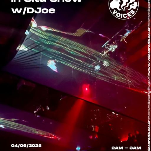 In Situ Show w/DJoe - 04/06/25 - Voices Radio
