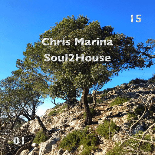 Soulful House 2 House | mixtape 1501