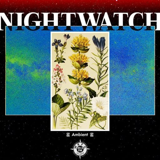 Night Watch: Ambient with Elijah - 16 April 2026