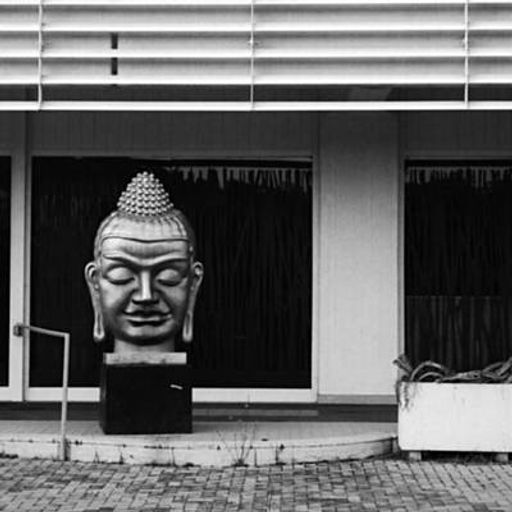 Accidental Meetings - 30.05.2019