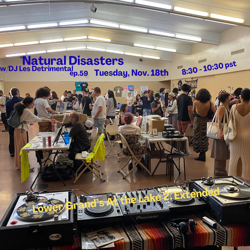 Natural Disasters ep. 59 - At the Lake 2, Extended! (11.18.2025)