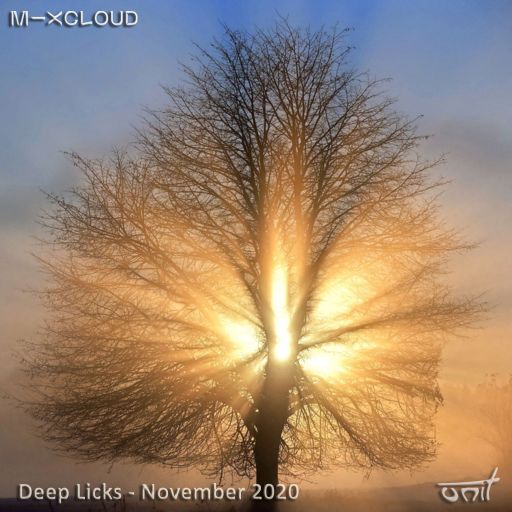 Deep Licks - November 2020