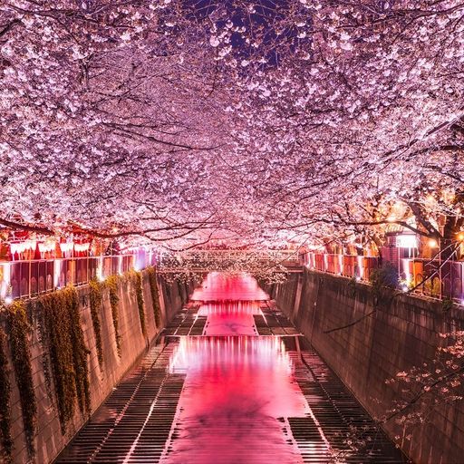 2022 APRIL SPRING R&B SMOOTH CHILLOUT MIX 『she likes spring, I prefer winter』