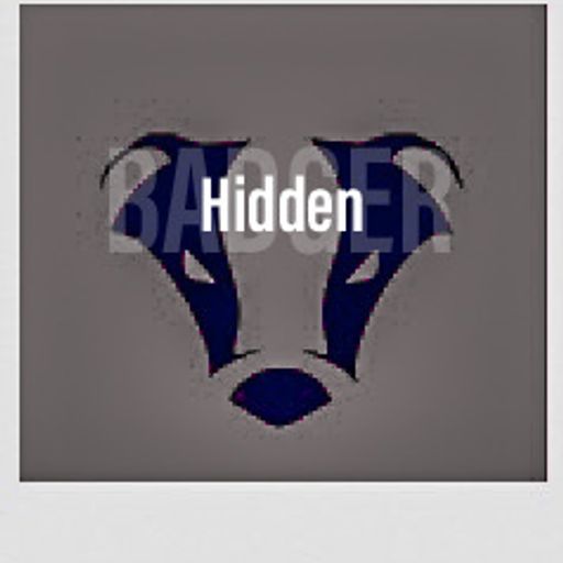 HiddenBadger	Badger Set 10