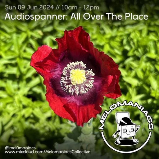 Melomaniacs Live! Audiospanner's All over the place