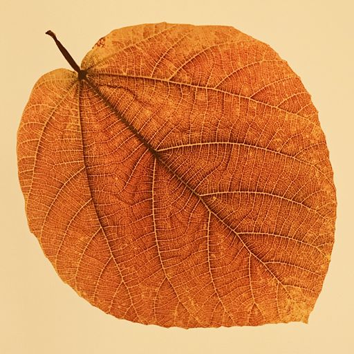 The Endless Tape Machine #31: AUTUMN 12.10.2024